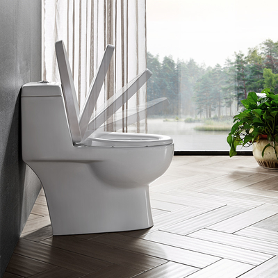 Soft closed WC Ceramic Toilet Bowl Siphon One Piece Dual Flush