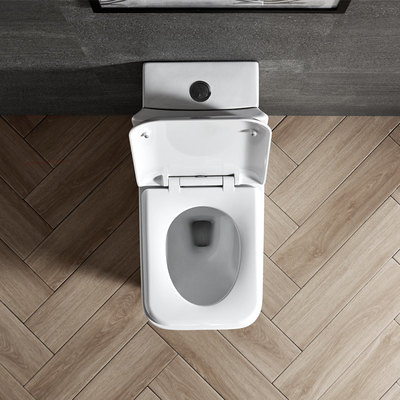 Dual Flush Elongated One Piece Commode Seat Included