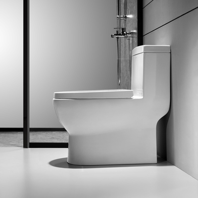 Modern Ceramic 1 Piece Elongated Toilet Dual Flush 0.9/1.3 GPF