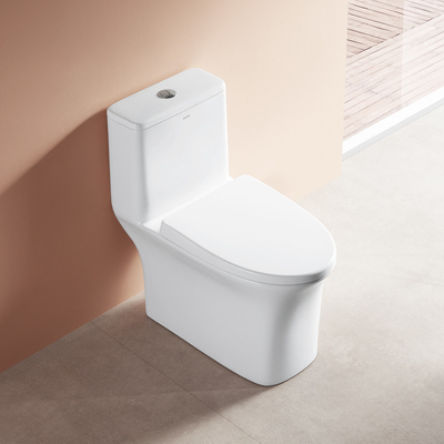 1.1 GPF One Piece Toilets Elongated 12 Inch Rough S trap 300mm