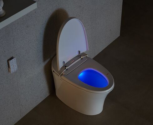 Arrow Remote Control Modern Ceramic Smart Toilet Bidet with Concealed Tank for Bathroom