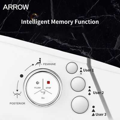 ARROW Modern Smart Toilet with Siphon Flushing Heated Seat and Nozzle Self-cleaning Intelligent Bidet Toilet