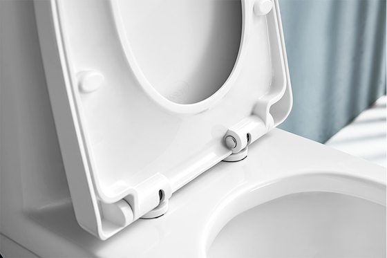 Washdown 1 Piece Dual Flush Toilet S trap 185mm Closestool