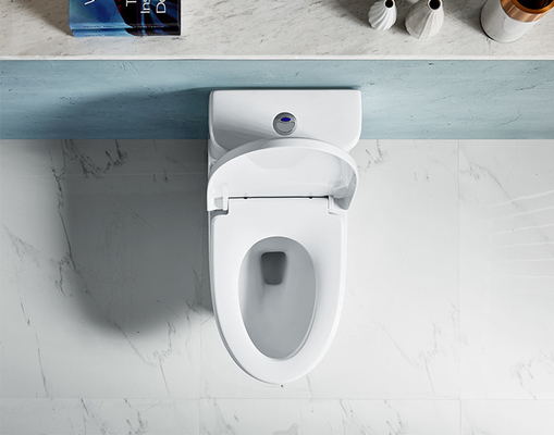 Washdown 1 Piece Dual Flush Toilet S trap 185mm Closestool