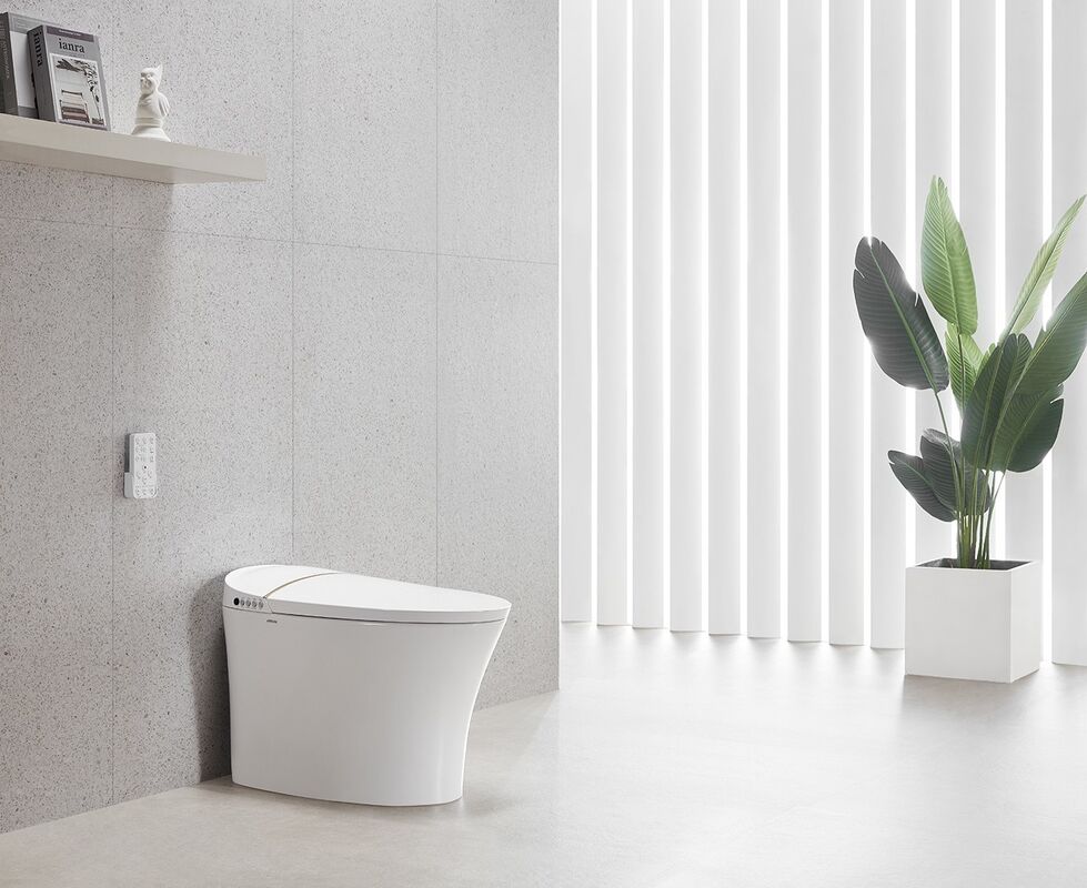 Arrow Remote Control Modern Ceramic Smart Toilet Bidet with Concealed Tank for Bathroom